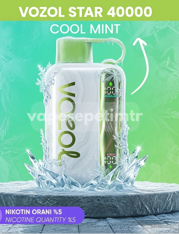 Vozol Star 40000 Cool Mint