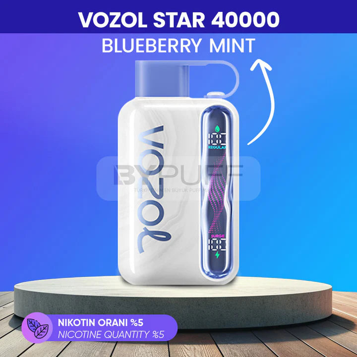Vozol Star 40000 Blueberry Mint