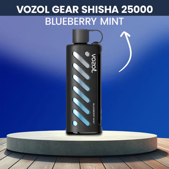Vozol Gear Shisha 25000 Blueberry Mint